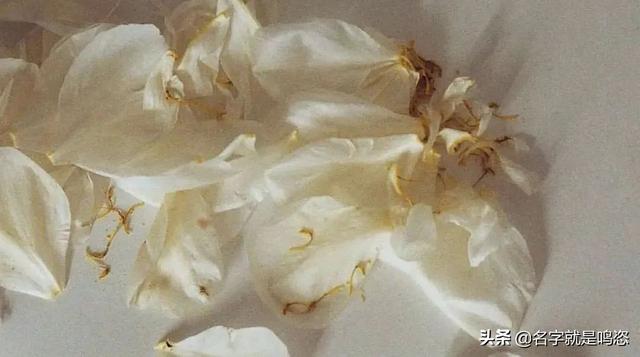 穿丁字褲的女生，一定不檢點？