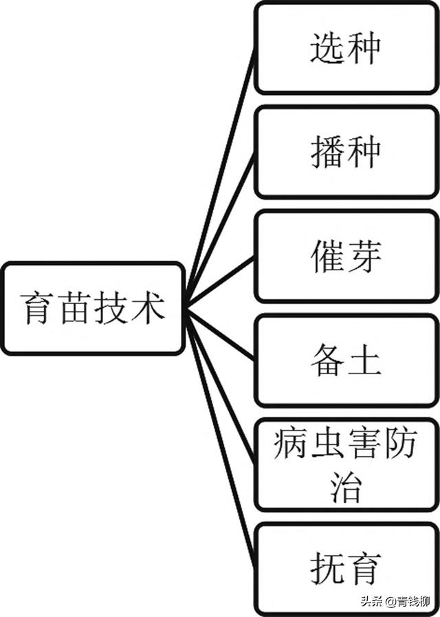 對(duì)硝基氯甲苯結(jié)構(gòu)，對(duì)氯間硝基苯甲酸結(jié)構(gòu)式？
