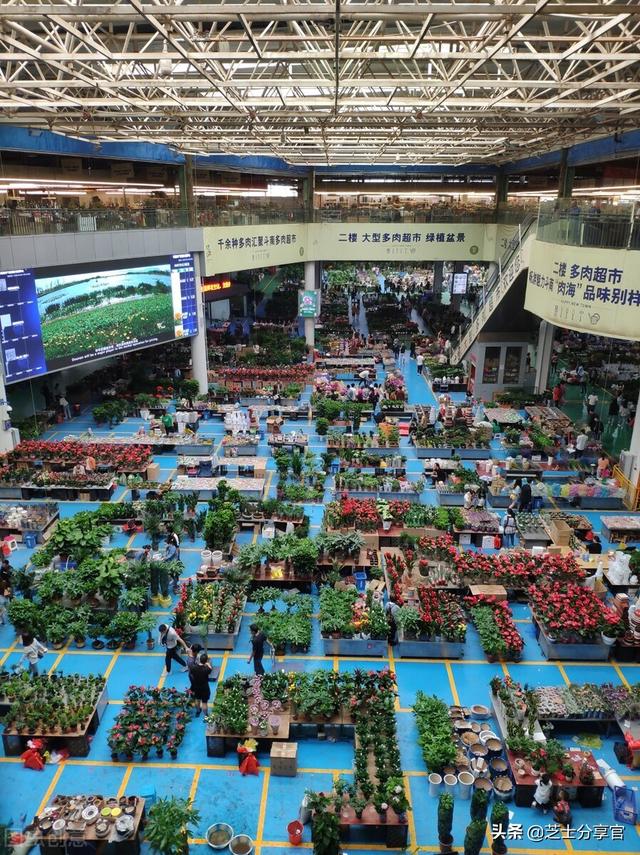 昆明鮮花批發(fā)市場地址，昆明鮮花批發(fā)市場地址電話？