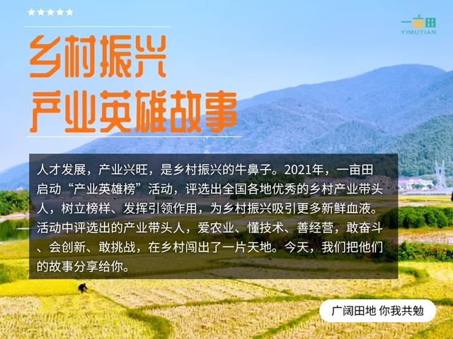 怎樣進(jìn)入蔬菜批發(fā)市場做生意，新手如何批發(fā)蔬菜？