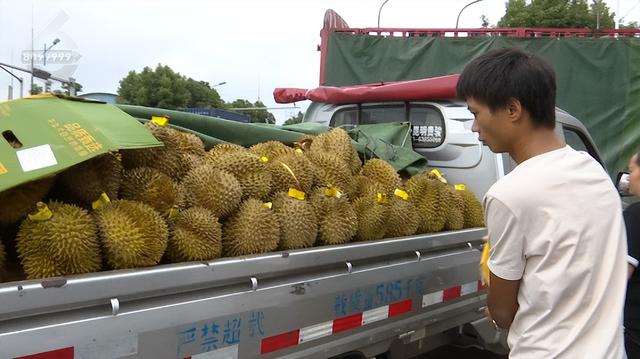 榴蓮批發(fā)市場(chǎng)進(jìn)貨渠道，泰國(guó)榴蓮批發(fā)市場(chǎng)進(jìn)貨渠道