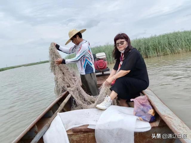 供應(yīng)批發(fā)蘆葦種苗廠家，供應(yīng)批發(fā)蘆葦種苗廠家電話
