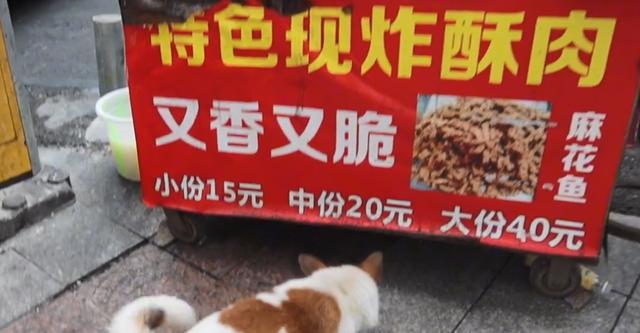 重慶50種地攤小吃圖片，重慶50種地攤小吃圖片大全