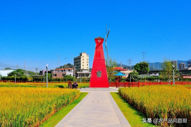 農(nóng)產(chǎn)品一手貨源批發(fā)網(wǎng)包郵,最便宜的最近的，農(nóng)產(chǎn)品批發(fā)網(wǎng)哪個便宜