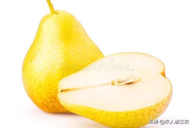 蘋果批發(fā)價(jià)格多少錢一斤算不貴，蘋果市場(chǎng)價(jià)格多少錢一斤？