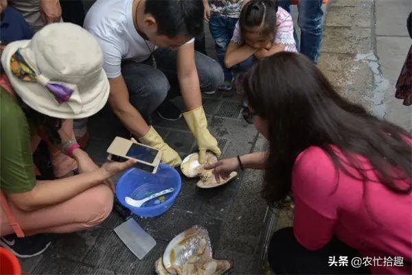 珍珠批發(fā)一手貨源在哪里拿貨，全國珍珠批發(fā)一手貨源在哪里？