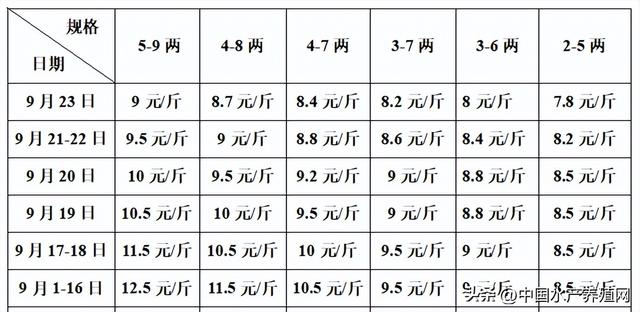 牛蛙批發(fā)價(jià)多少錢(qián)一只，牛蛙多少錢(qián)一斤市場(chǎng)價(jià)格？