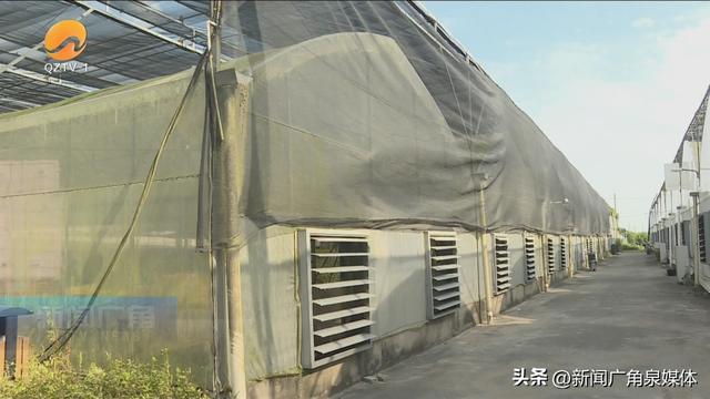 遮陽網(wǎng)批發(fā)廠家直銷，昆明遮陽網(wǎng)批發(fā)廠家直銷？