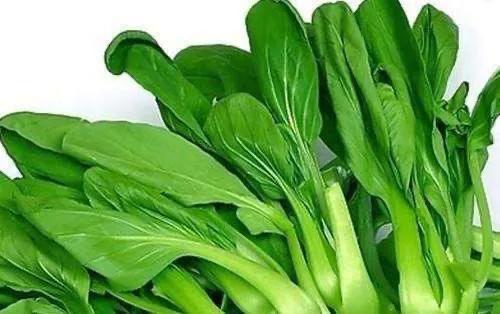 批發(fā)青菜_一天賺8000幾個(gè)小時(shí)最好，批發(fā)青菜_一天賺8000幾個(gè)小時(shí)能賺多少？