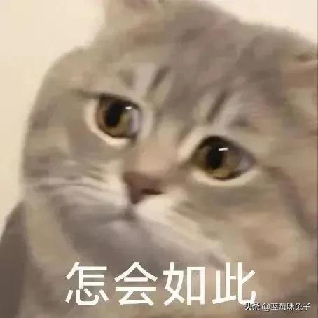 成人用品免費(fèi)加盟微商，成人用品免費(fèi)加盟微商平臺(tái)？