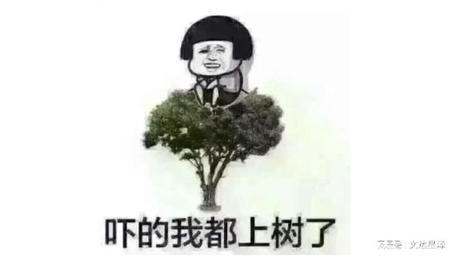 兼職會計和代賬公司，你們的2022年注定與眾不同