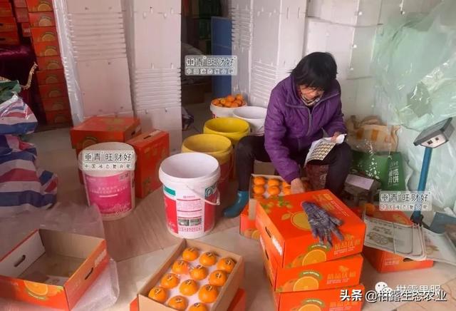 銷售渠道有哪些方式，銷售渠道有哪些方式呢？