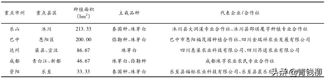 魔芋的銷售渠道有哪些，魔芋的銷售渠道有哪些呢？