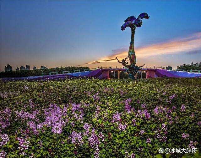 哈爾濱鮮花批發(fā)市場(chǎng)哪里最便宜，哈爾濱鮮花批發(fā)市場(chǎng)哪里最便宜又好？