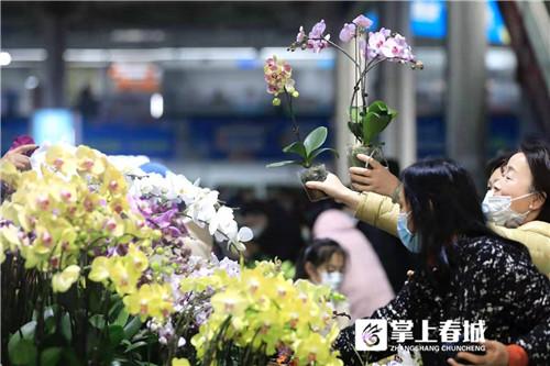 昆明鮮花批發(fā)市場地址個區(qū)，昆明鮮花批發(fā)市場地址在哪里怎么坐車去？