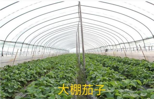 齊齊哈爾批發(fā)衣服在哪里進(jìn)貨便宜，齊齊哈爾批發(fā)衣服的地方？