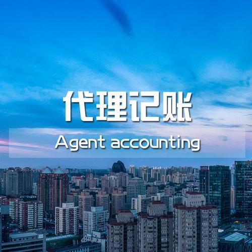 代理記賬的業(yè)務(wù)范圍如何，代理記賬的業(yè)務(wù)范圍如何寫？