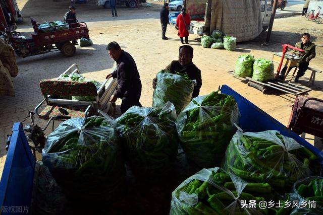 市場賣青菜一天賺多少錢合適，菜市場賣青菜一年能賺多少錢？
