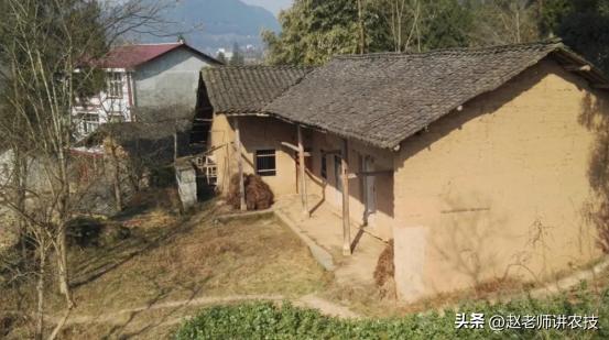 散白酒加盟代理，散酒加盟公司？