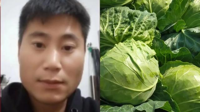 想做蔬菜批發(fā)怎么找貨源，找批發(fā)蔬菜貨源怎么找？