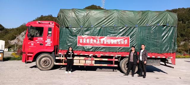 成都電商做什么類目比較多，電商的貨源？