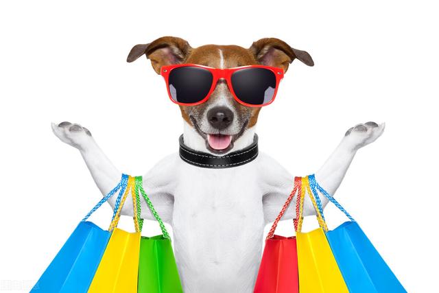 開淘寶店賣寵物用品貨源怎么找，開淘寶店賣寵物用品貨源怎么找的？