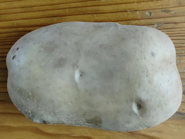 淘寶拼多多熱銷山東包菜貨源拿貨是真的嗎，淘寶拼多多熱銷山東包菜貨源拿貨是真的嗎還是假的？