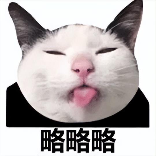 淘寶拼多多熱銷全樂貓糧貨源拿貨是真的嗎，淘寶拼多多熱銷全樂貓糧貨源拿貨是真的嗎安全嗎？