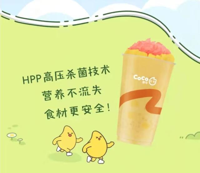 coco奶茶代理費，coco奶茶代理加盟費多？