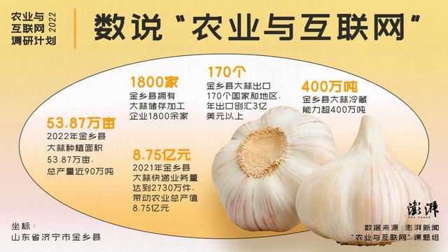 求購大蒜種子哪里有賣的，大蒜種子哪里可以買到？
