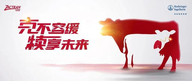淘寶拼多多熱銷犢牛服貨源拿貨是真的嗎，淘寶拼多多熱銷犢牛服貨源拿貨是真的嗎安全嗎？