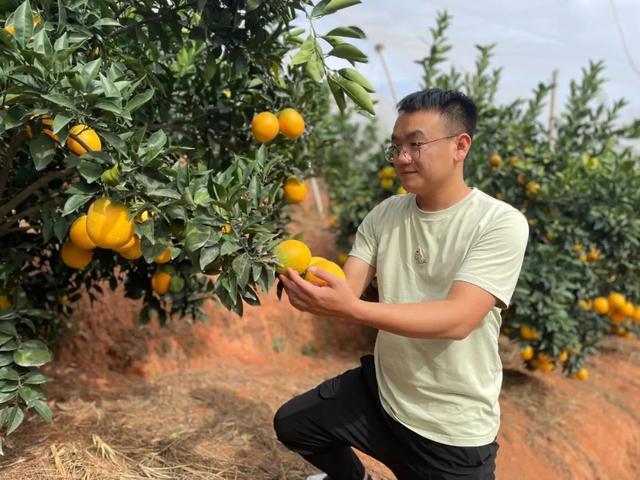 淘寶拼多多熱銷(xiāo)水洗橙子貨源拿貨是真的嗎，拼多多上的橙子怎么樣？